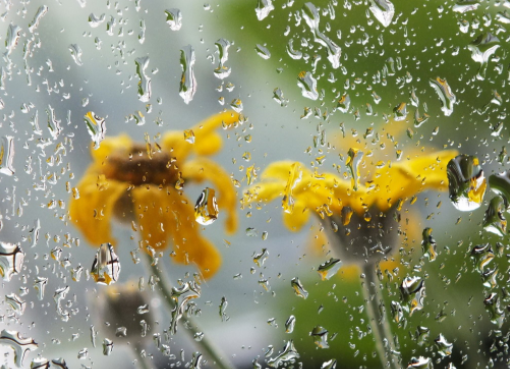 小雨是small rain？在雅思口语考官面前可别瞎说！附天气话题相关词汇