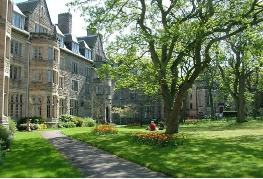 震惊，竟有要求雅思8分的英国大学和专业！？