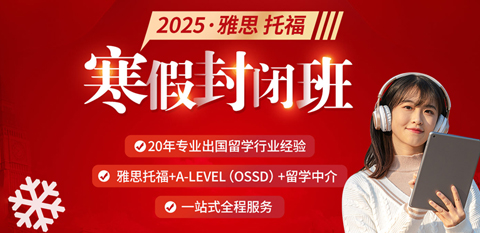 2024.11.23雅思写作考题8分范文及解析：大学学习和直接工作哪个更好