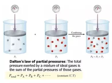 AP化学知识点 - Gas Law气体定律