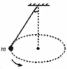 AP物理考点-圆周运动