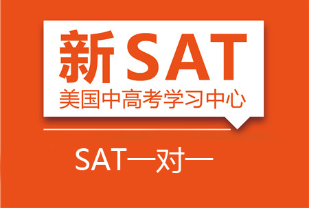 SAT一对一