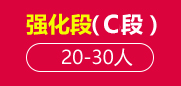 雅思强化段（C段）20-30人班