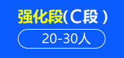 托福强化段（C段）20-30人班