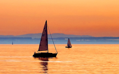 牛津官网大改版！本科专业重组九大类别，选专业千万别再只看“熟不熟”